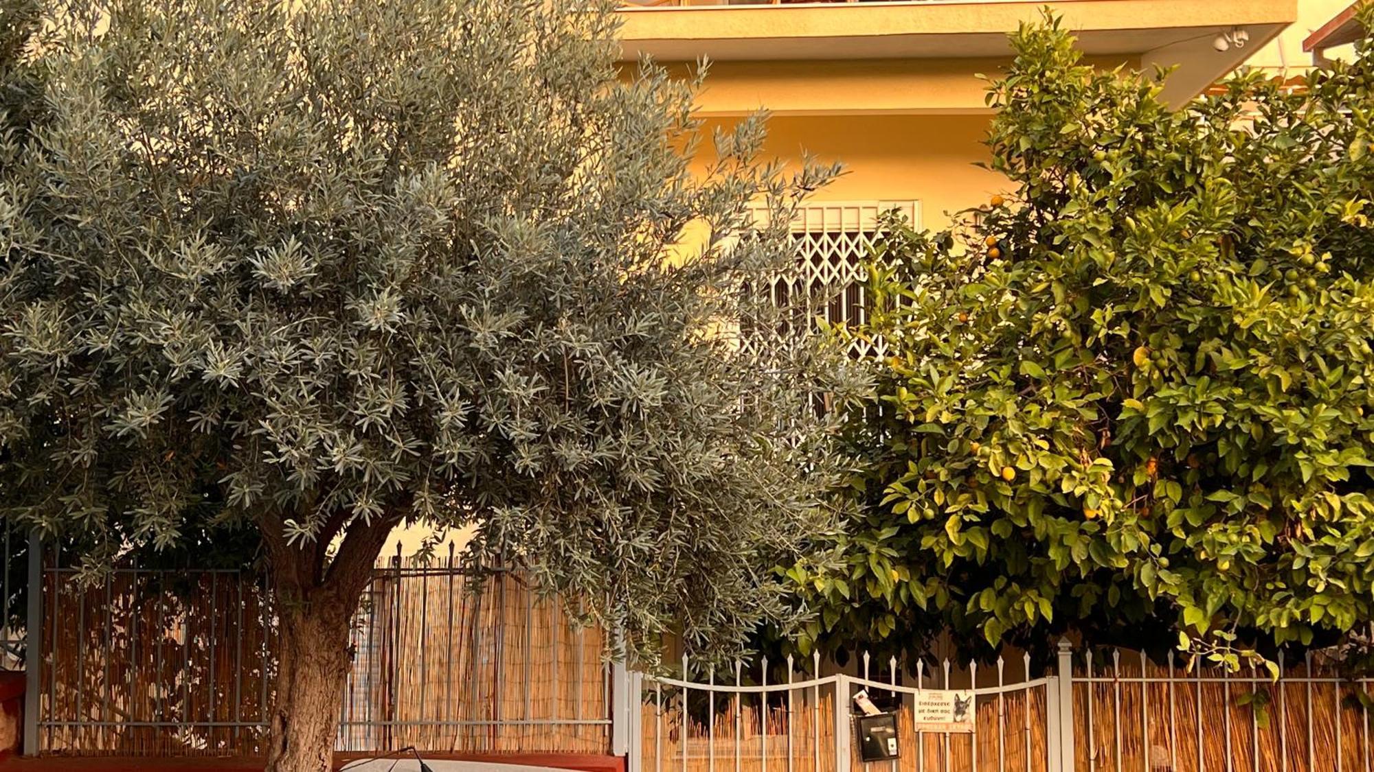בית נופש Lemon Treehouse Alimos *